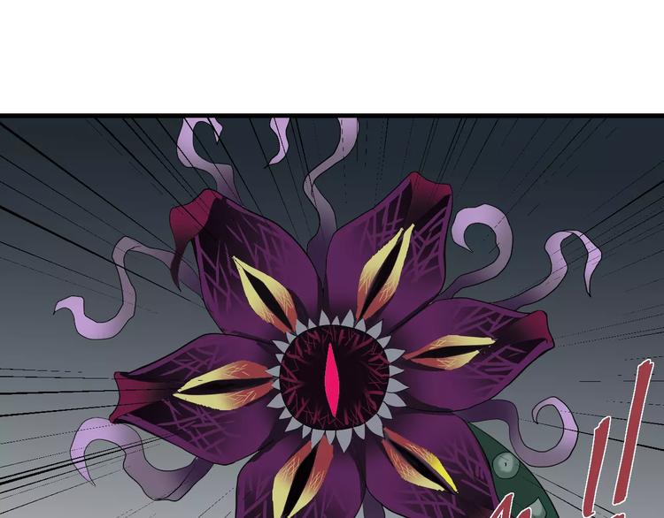 第12话 藏宝图之怪花(1/2)-第12话