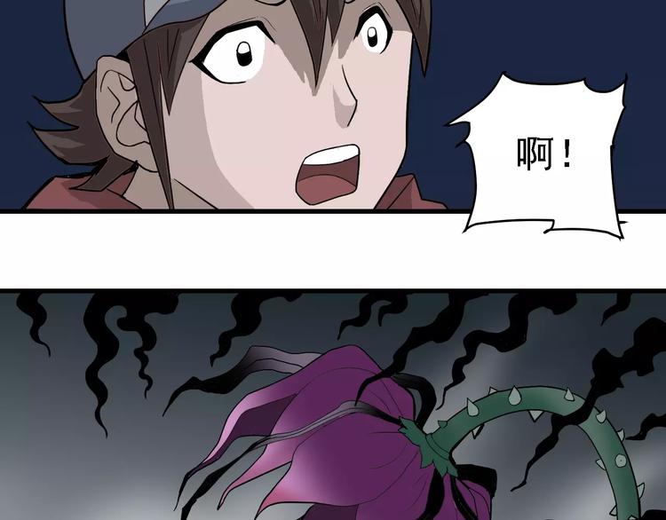 第12话 藏宝图之怪花(1/2)-第12话