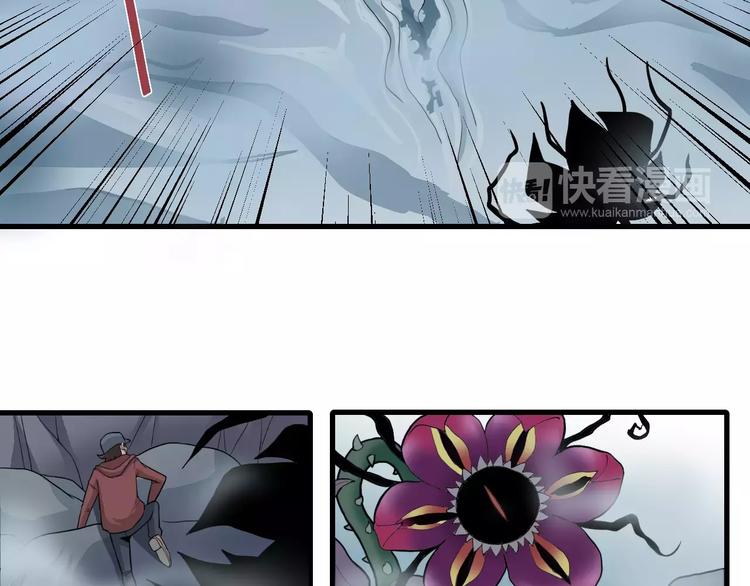 第12话 藏宝图之怪花(1/2)-第12话