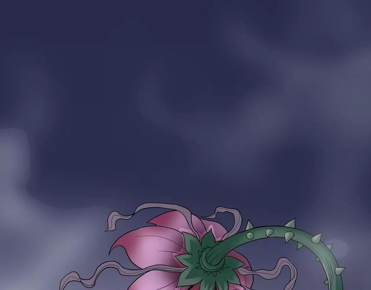 第12话 藏宝图之怪花(1/2)-第12话