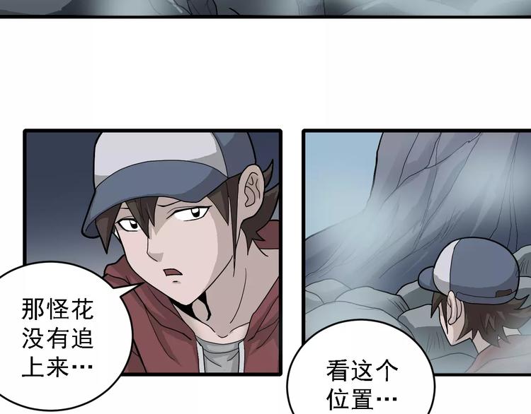 第12话 藏宝图之怪花(1/2)-第12话