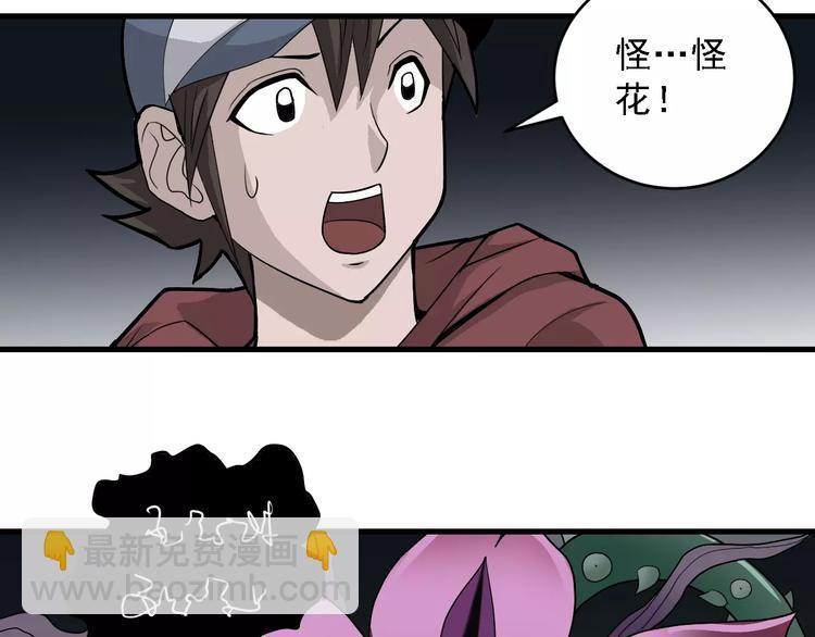 第12话 藏宝图之怪花(1/2)-第12话