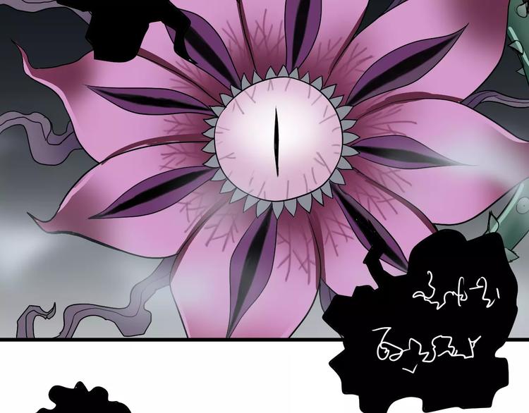 第12话 藏宝图之怪花(1/2)-第12话