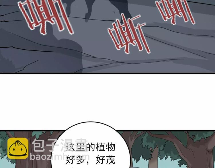 第8话 藏宝图之奇境(1/2)-第8话