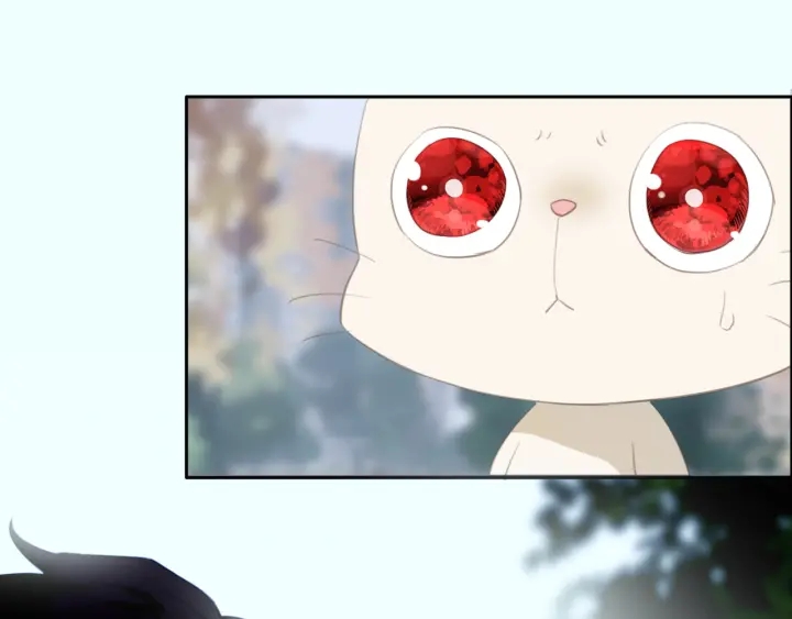 第20话：做不到就杀了她(1/2)-第20话