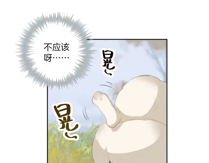 第20话：做不到就杀了她(1/2)-第20话