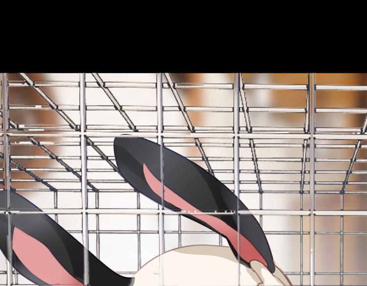 第4话 ：救命啊！(1/2)-第4话