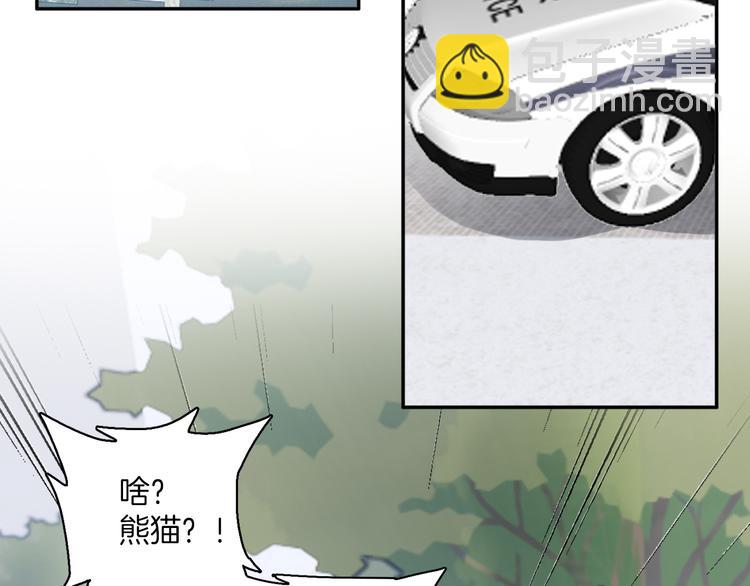 第8话：熊猫哥哥说他想你(1/2)-第8话