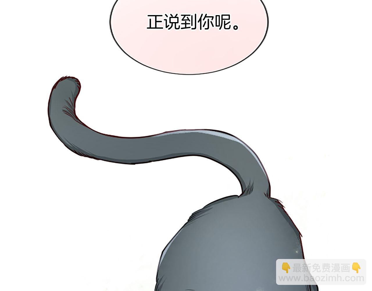 第104话 做好准备(1/3)-第104话