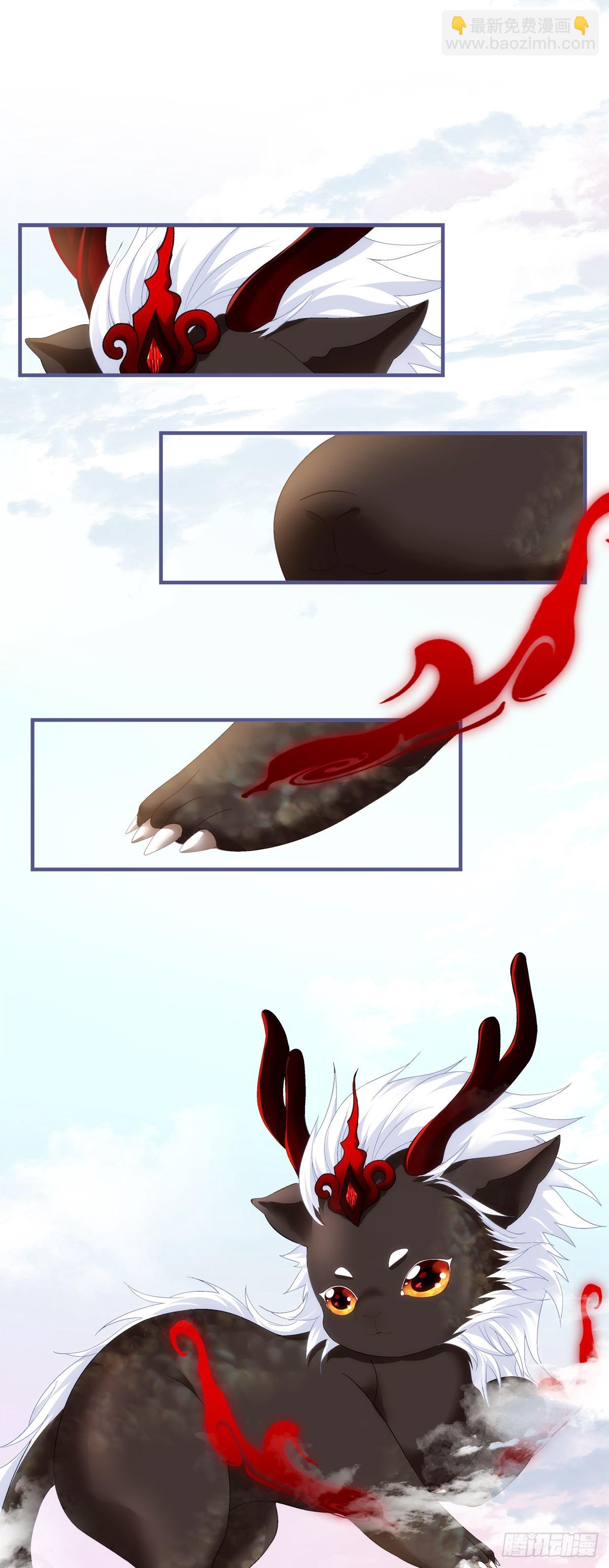 带老婆飙车的小豆丁！-第164话