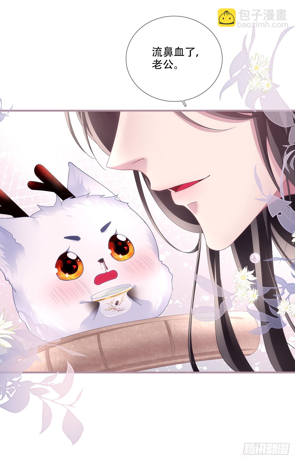 宋寒灯的&ldquo;条件&rdquo;！-第194话