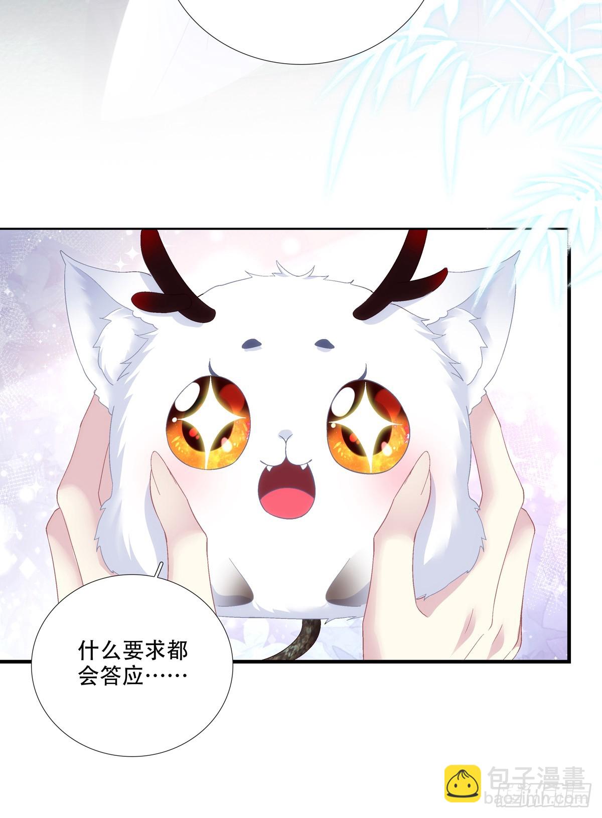 宋寒灯的&ldquo;条件&rdquo;！-第194话