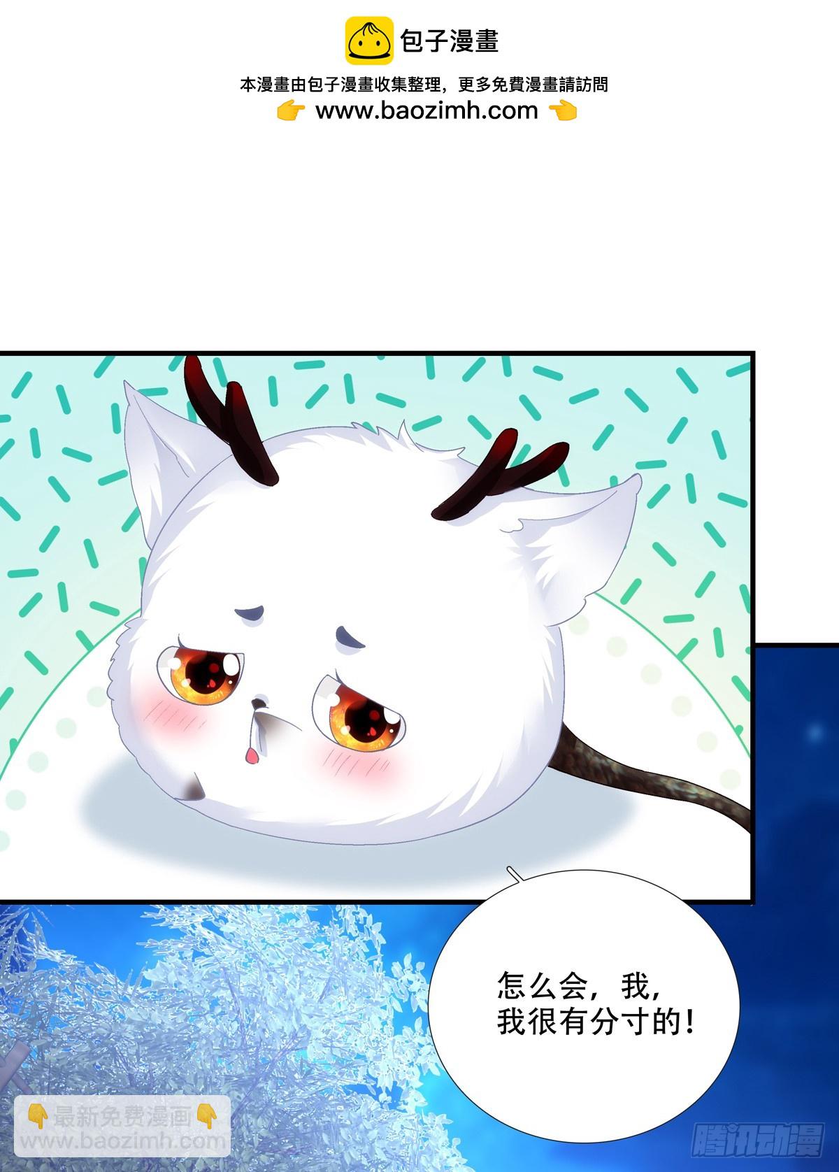 宋寒灯的&ldquo;条件&rdquo;！-第194话