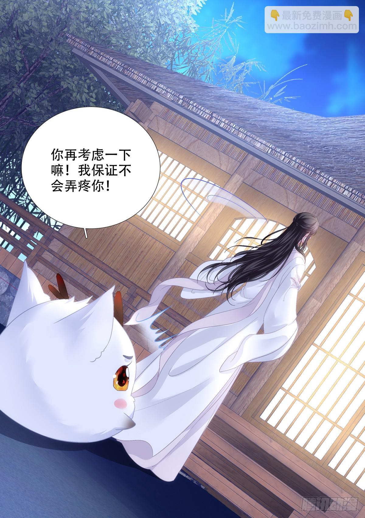 宋寒灯的&ldquo;条件&rdquo;！-第194话