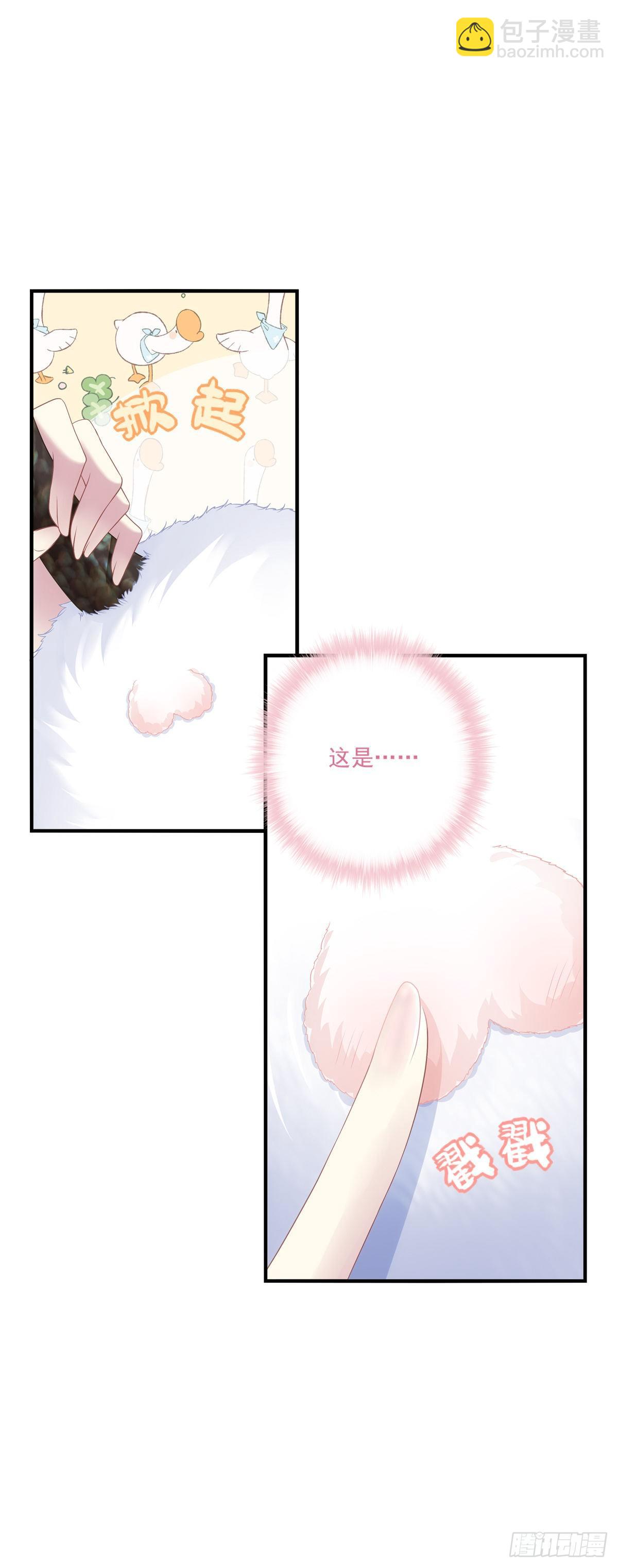 未婚夫变小宠物！-第4话