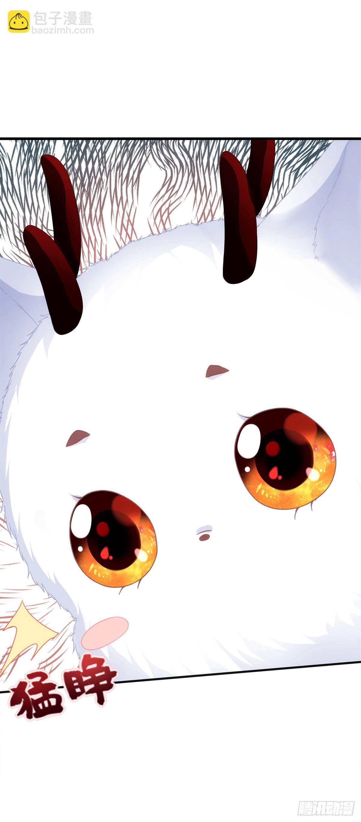 未婚夫变小宠物！-第4话