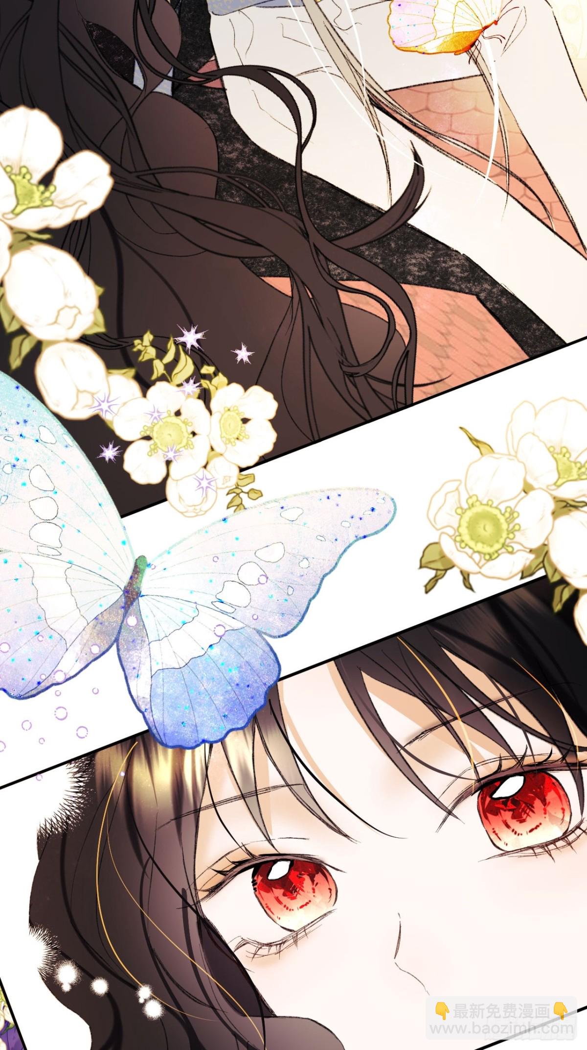 31-导师抢人(1/2)-第32话