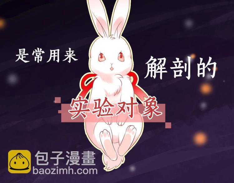 序章 一起云养兔吧！(1/2)-第2话