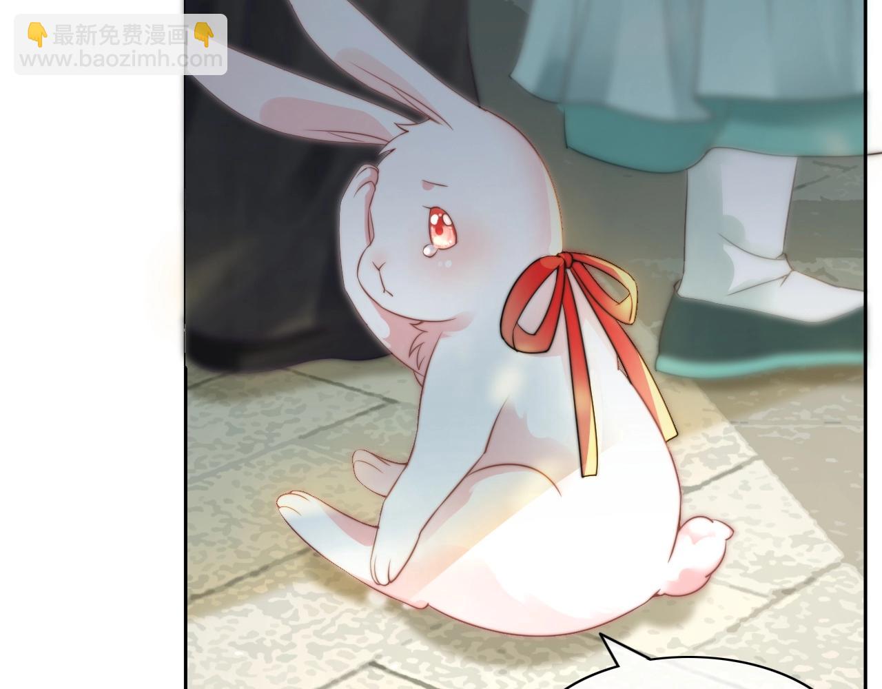 第10话 兔子我不要了！(1/3)-第12话