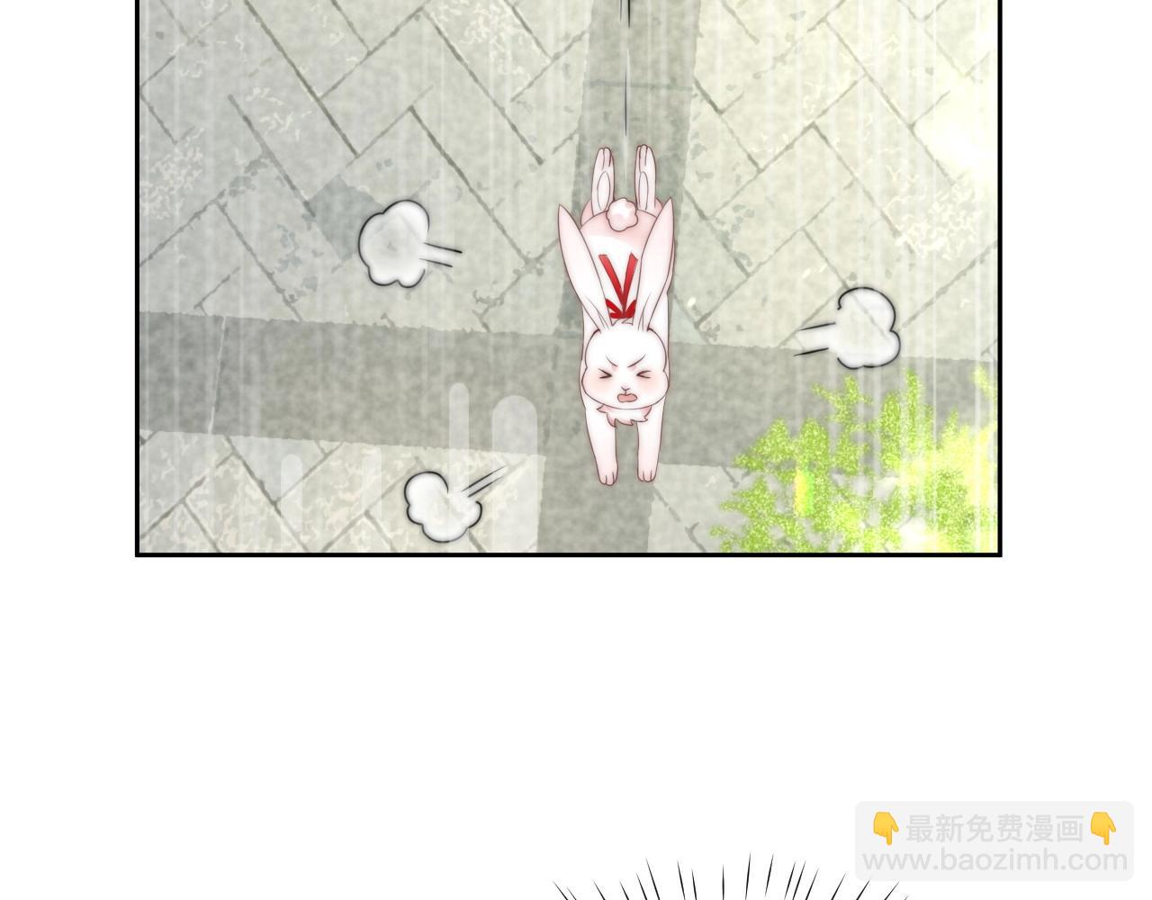 第10话 兔子我不要了！(1/3)-第12话