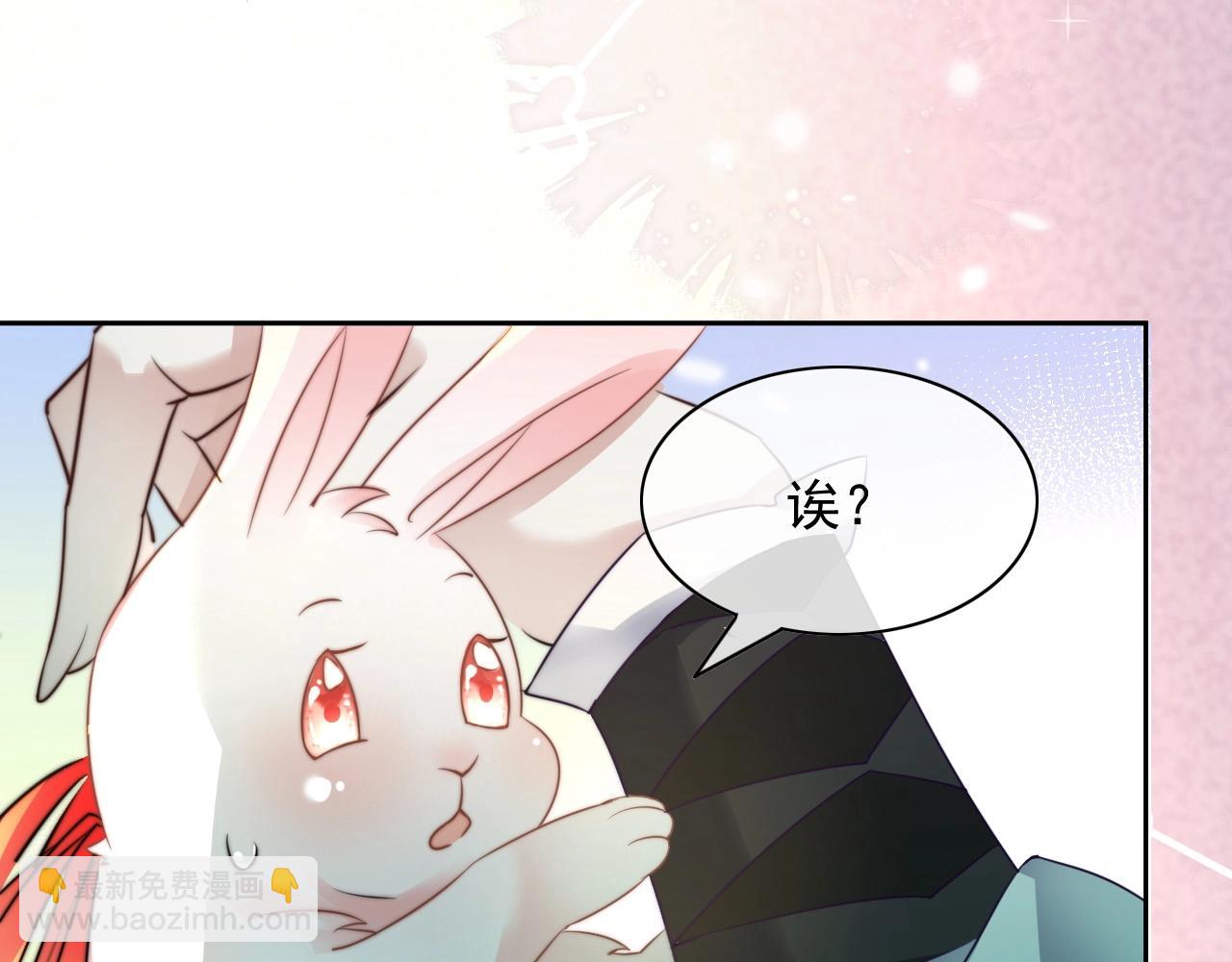 第10话 兔子我不要了！(1/3)-第12话