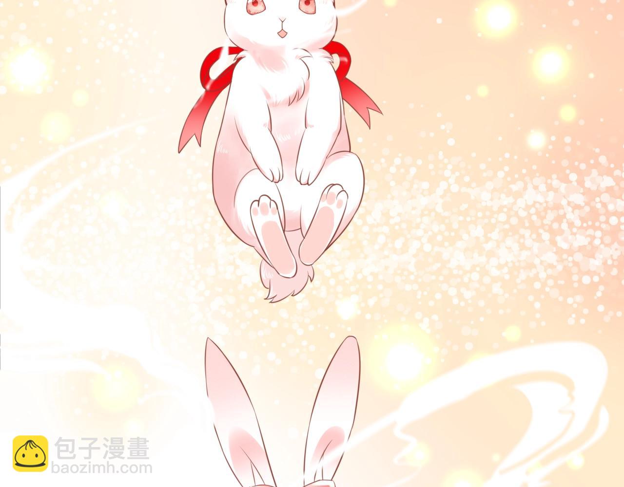 第8话 带着兔子去学院(1/2)-第10话