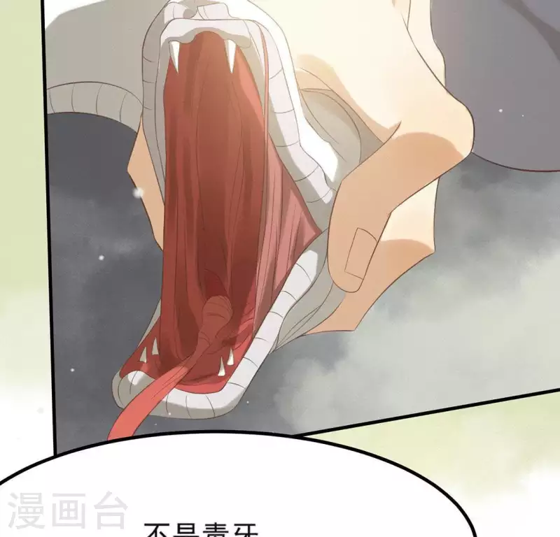 第71话 奇怪的哥哥们(1/3)-第72话