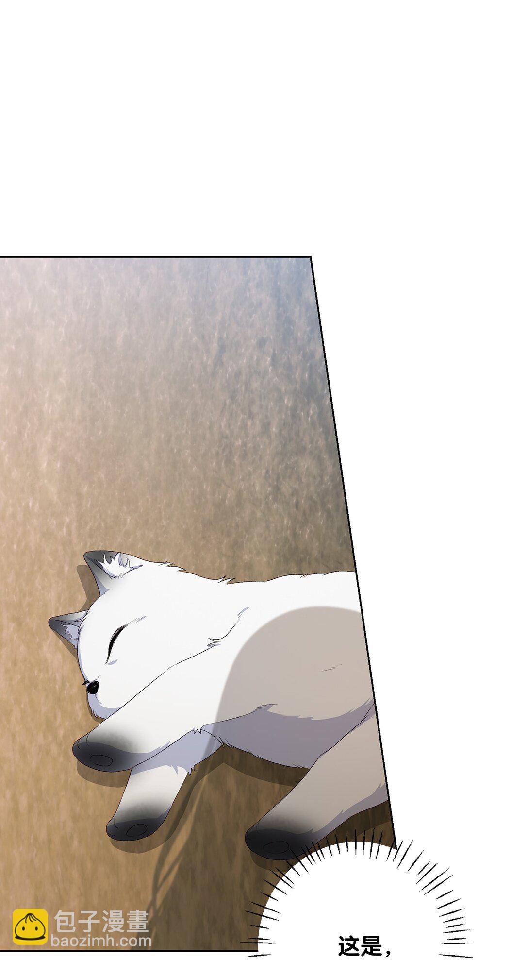 56 小嗷(1/2)-第56话