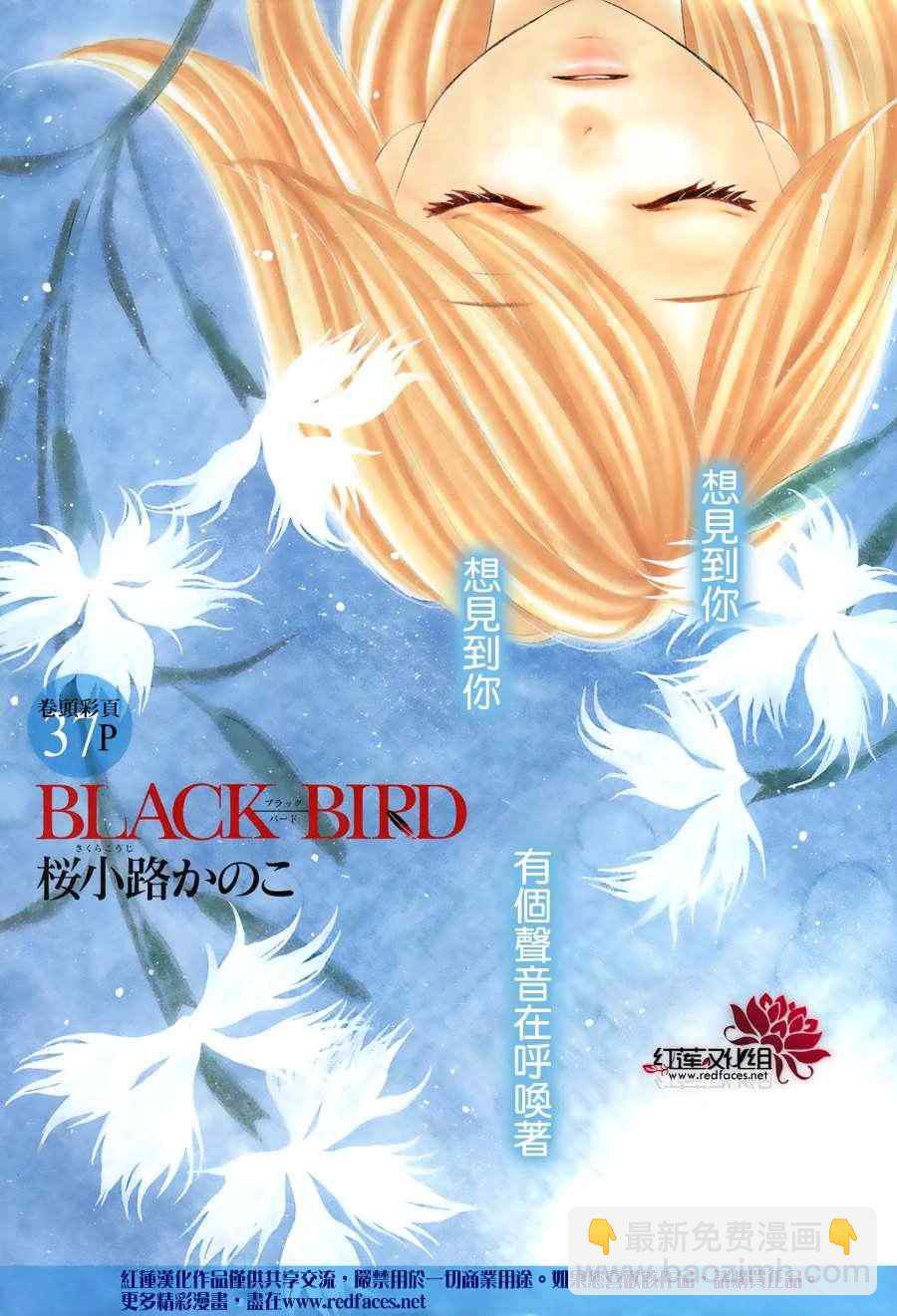 黑鳥戀人(BLACK BIRD) - 第68話 - 2