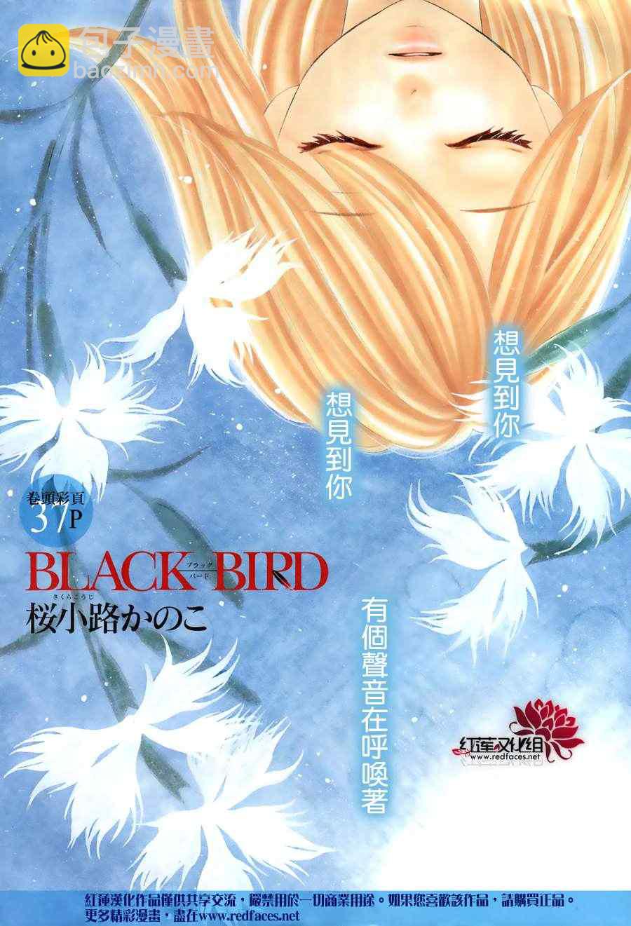 黑鳥戀人(BLACK BIRD) - 第68話 - 2