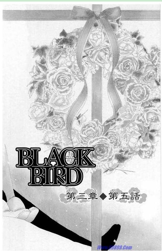 黑鳥戀人(BLACK BIRD) - 第10卷(1/4) - 7
