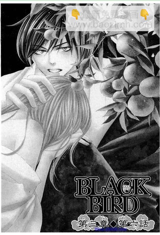 黑鳥戀人(BLACK BIRD) - 第10卷(2/4) - 8