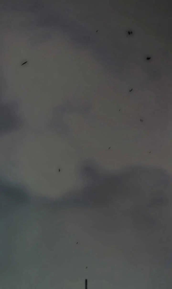 黑色冬季 - 第113話(2/2) - 8