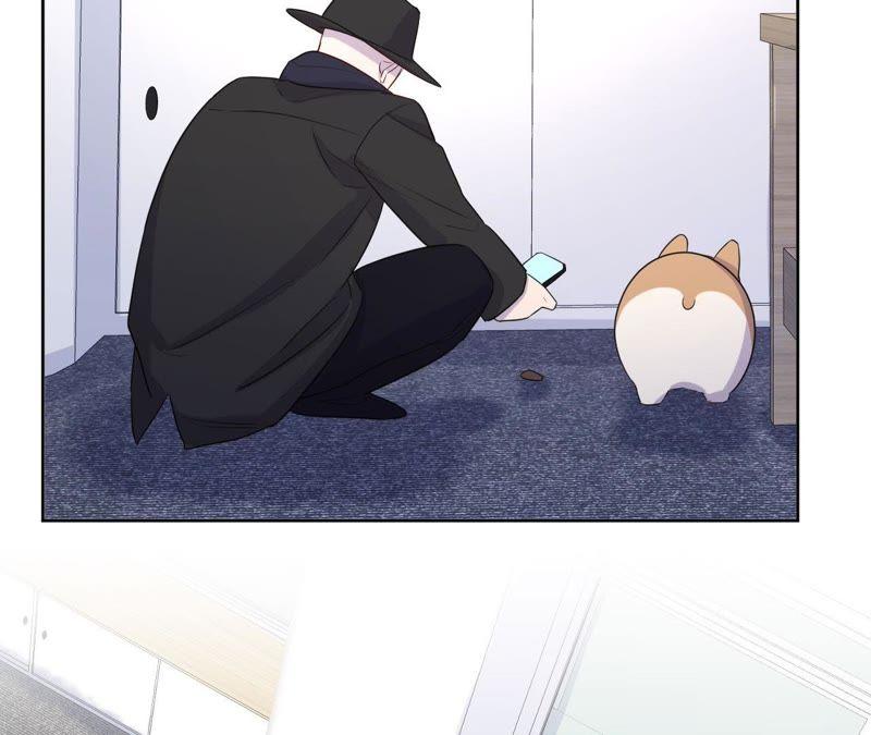 第66话 花医生(1/2)-第68话