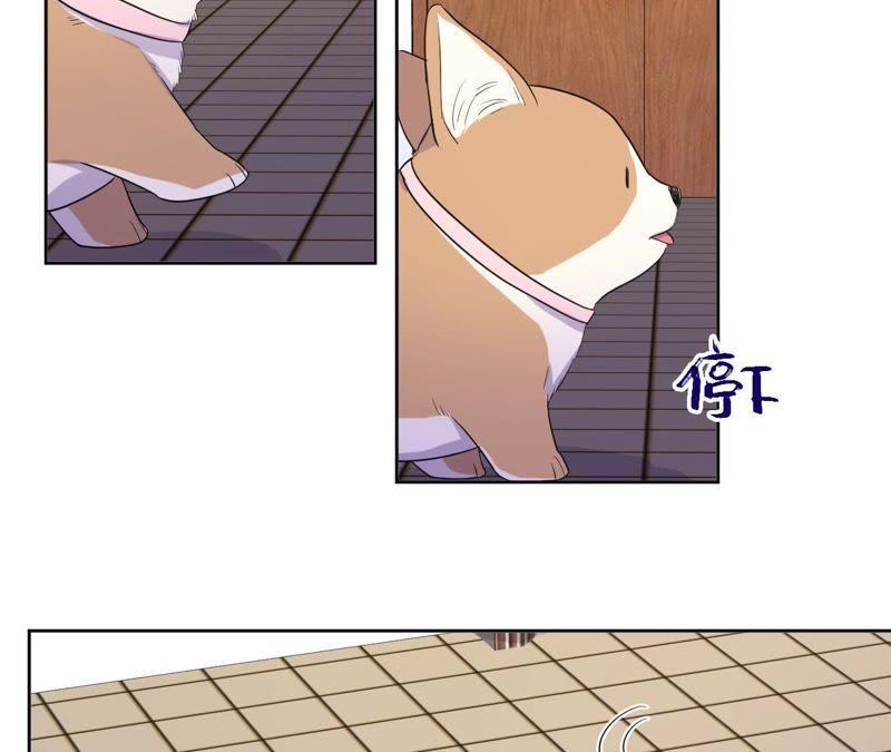 第81话 条件置换(1/2)-第84话