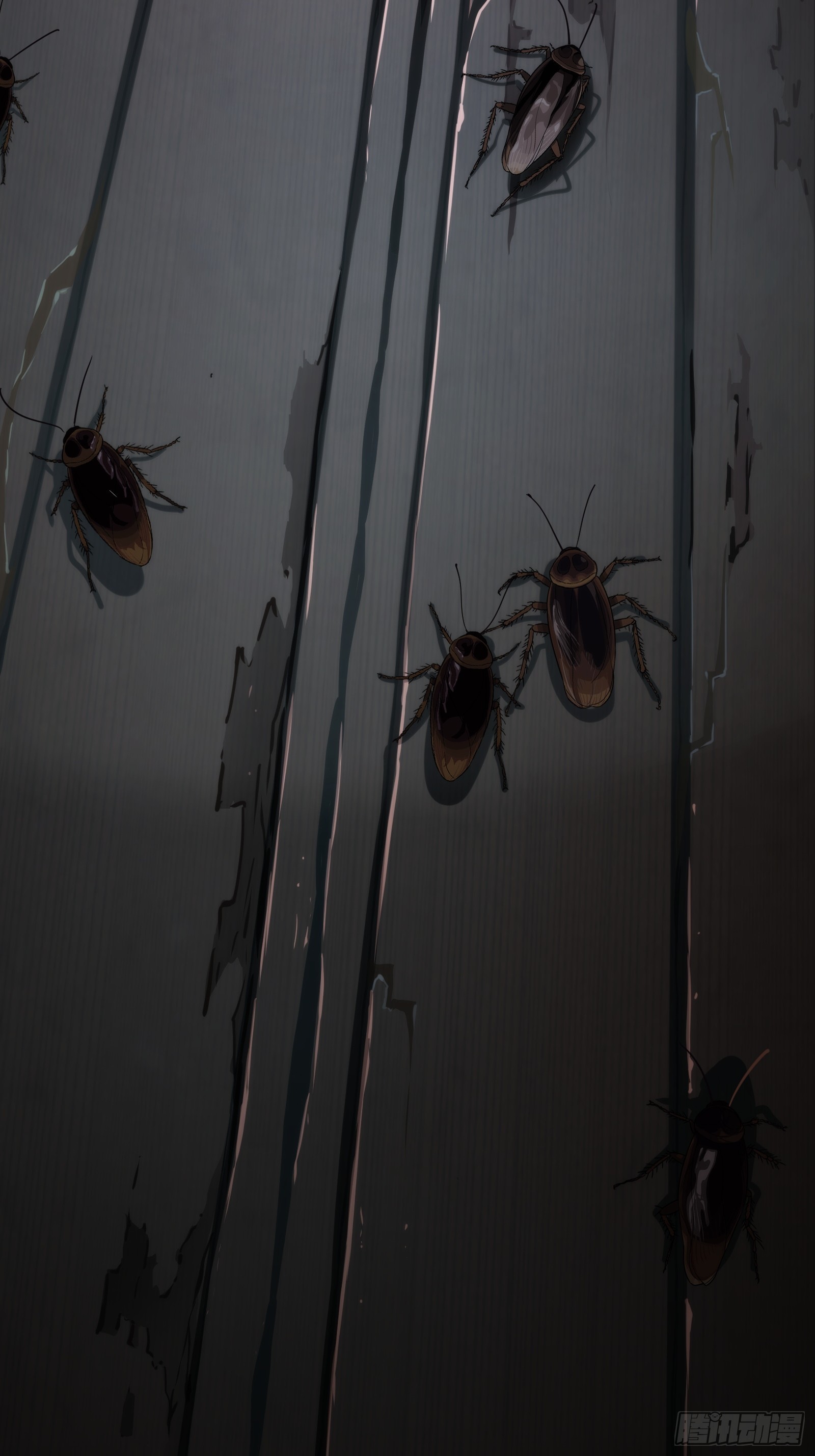 001 天黑了(1/2)-第2话