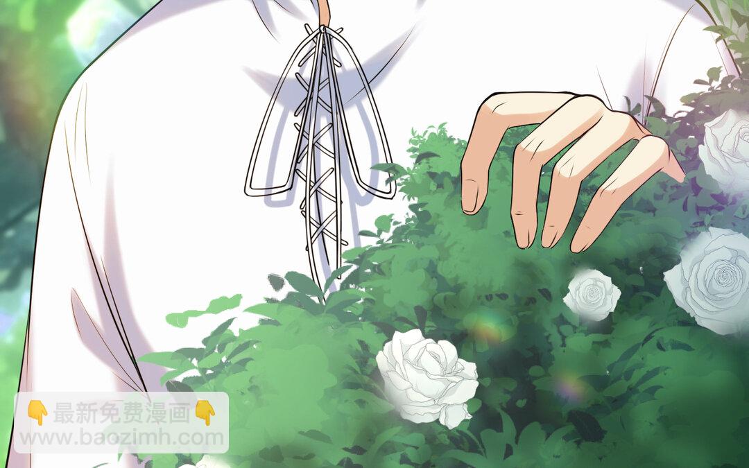 68 第60话 玫瑰园&ldquo;公主&rdquo;(1/3)-第68话