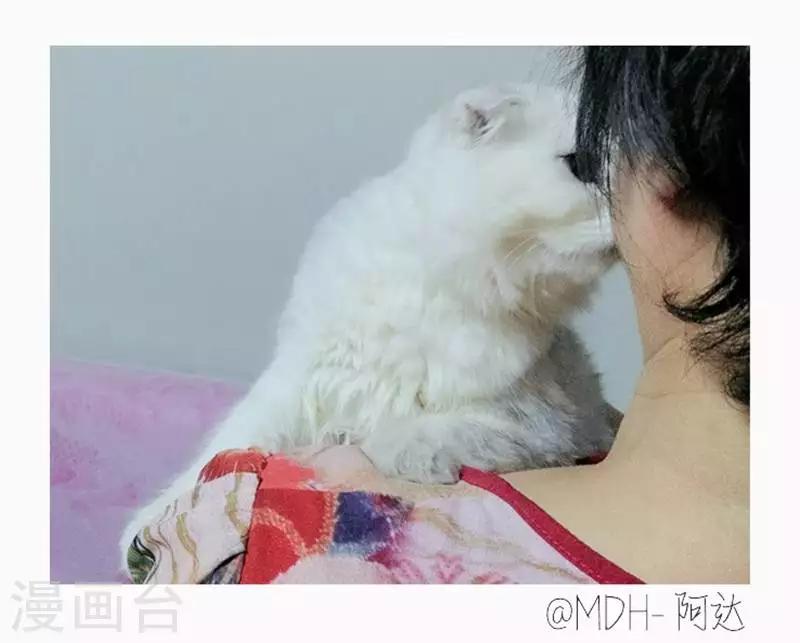 第18话 高个子才能打伞-第18话