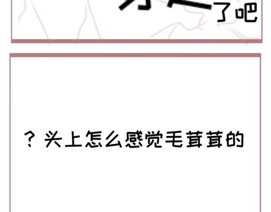 和mine wife的日常 - 失憶了？ - 5