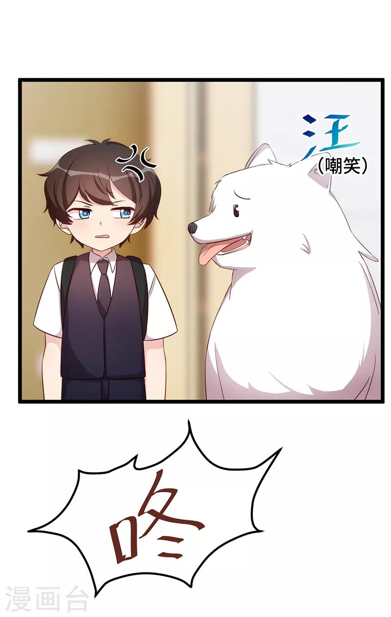 賀少的閃婚暖妻 - 第234話 旺財的嘲諷 - 2
