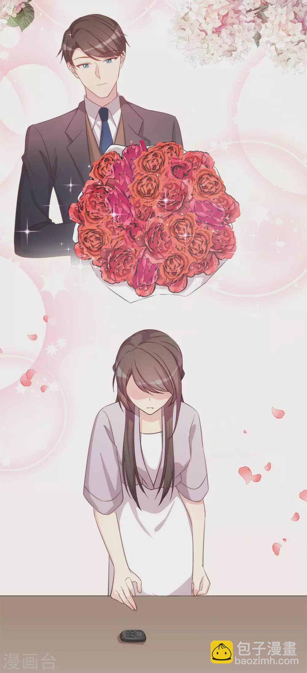 賀少的閃婚暖妻 - 第340話 以後和你沒關係了 - 4