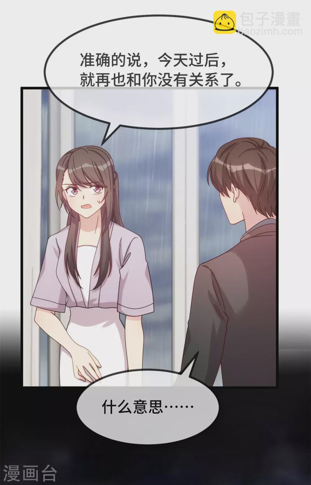 賀少的閃婚暖妻 - 第340話 以後和你沒關係了 - 2