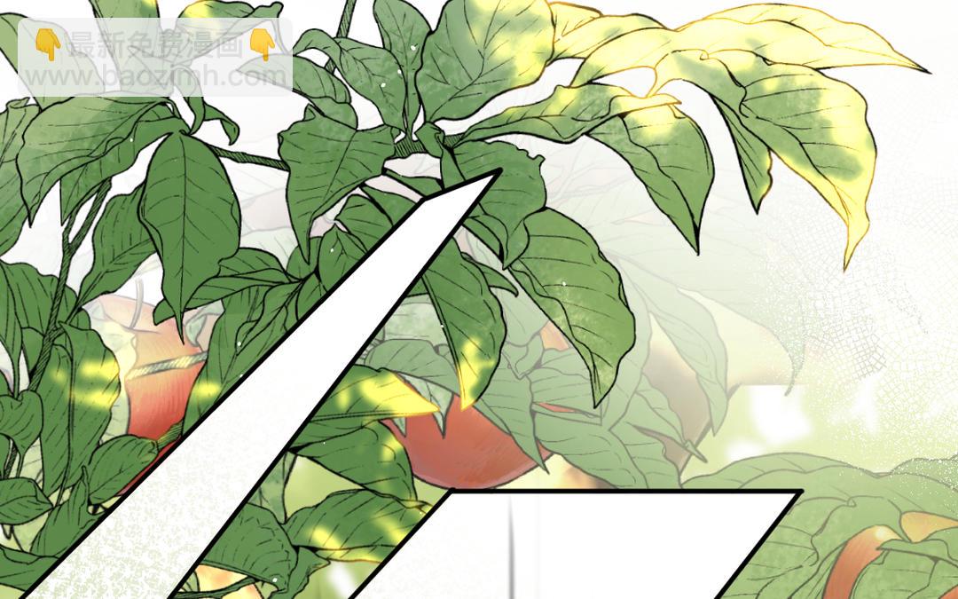 第30话 不准笑(1/3)-第28话