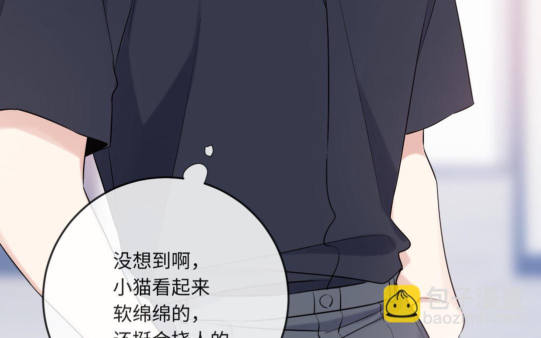 第7话 小猫咪的反击(1/3)-第8话