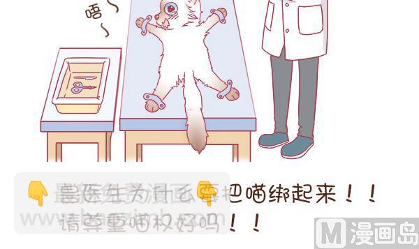 第2话 生病的嗨弟 2-第2话