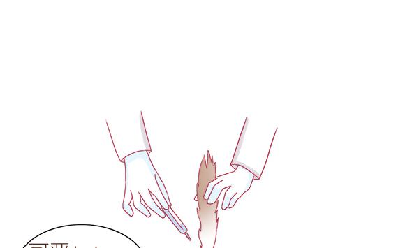 第2话 生病的嗨弟 2-第2话