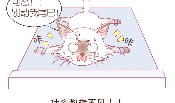 第2话 生病的嗨弟 2-第2话