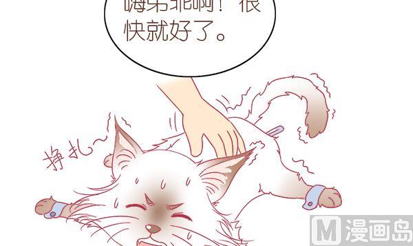 第2话 生病的嗨弟 2-第2话