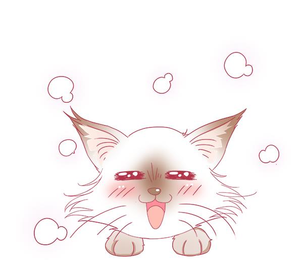 第2话 生病的嗨弟 2-第2话