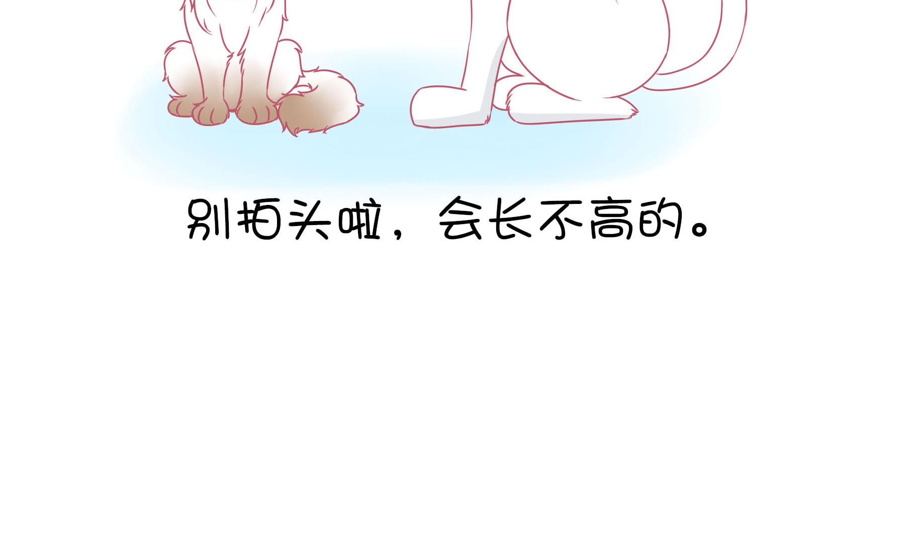 第12话 友谊的小船翻了-第12话